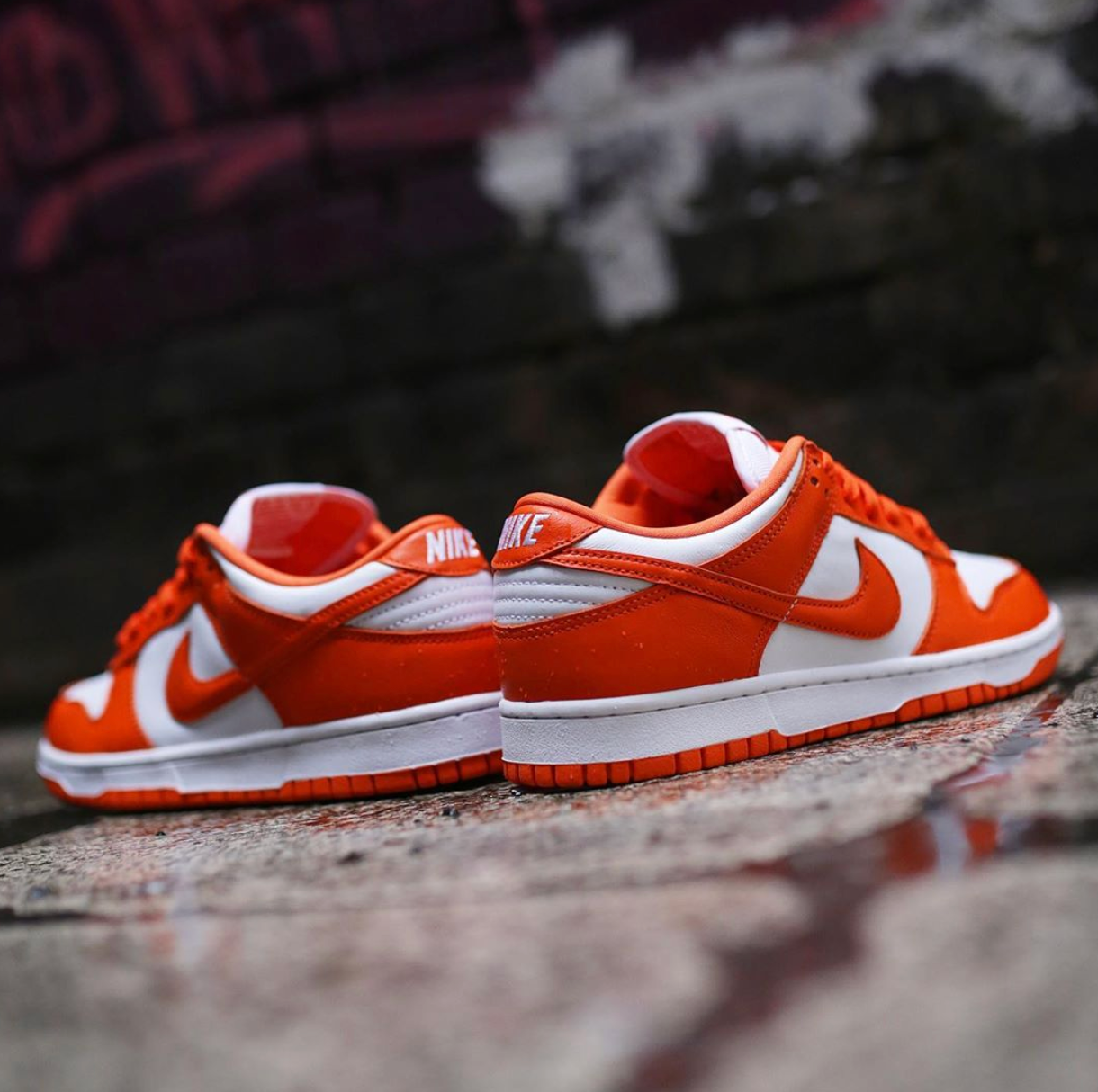 NIKE DUNK LOW SP \